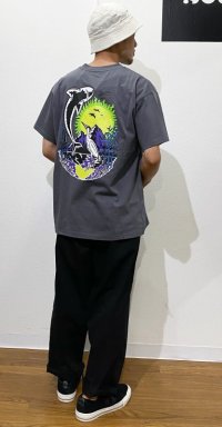 画像2: POLAR SKATE CO.  MT. FUJI TEE  GRAPHITE