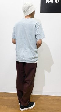 画像3: POLAR SKATE CO.  SURF PANTS  BROWN