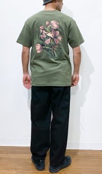 画像1: THEORIES FLORA TEE  オリーブ