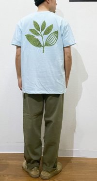 画像1: Magenta (マジェンタ)  GRASS PLANT TEE BLUE