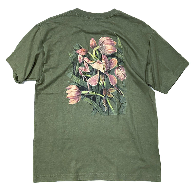 THEORIES (セオリーズ）FLORA TEE  オリーブ